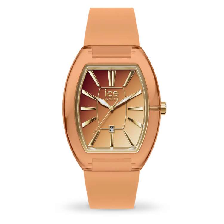 Montre Ice Watch Boliday Dome