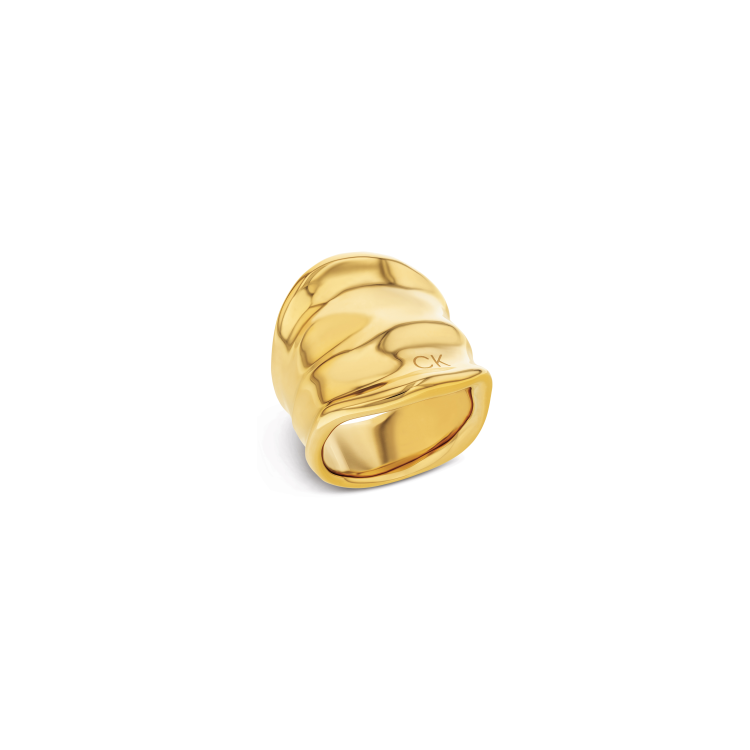 copy of Boucles d'oreilles Calvin Klein