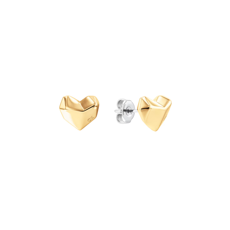 copy of Boucles d'oreilles Calvin Klein