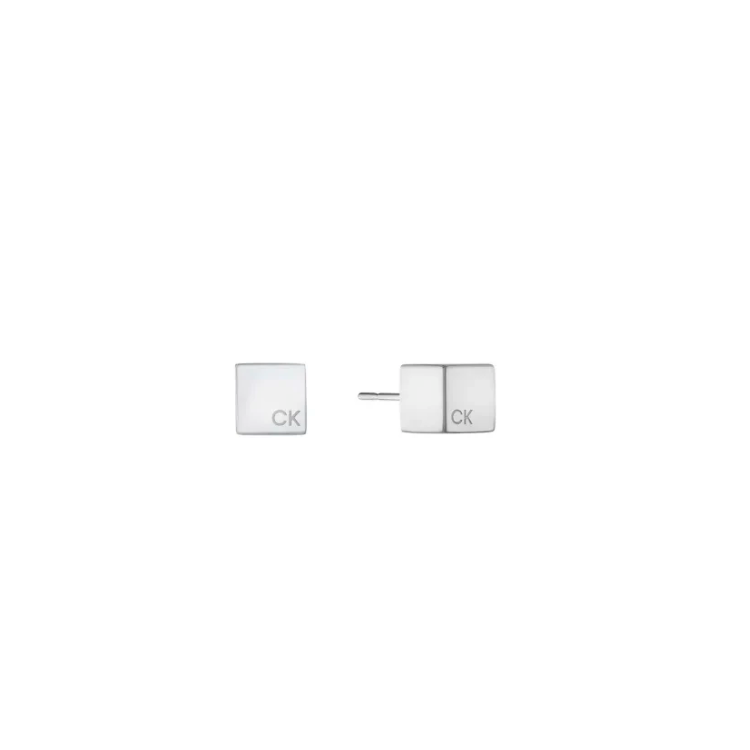 copy of Boucles d'oreilles Calvin Klein