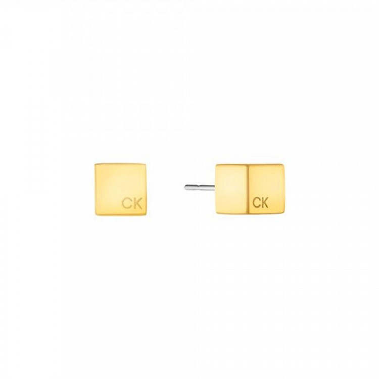 copy of Boucles d'oreilles Calvin Klein