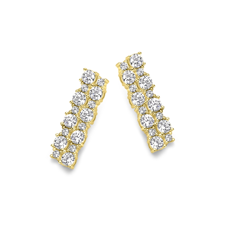 Boucles d'oreilles Silver Rose