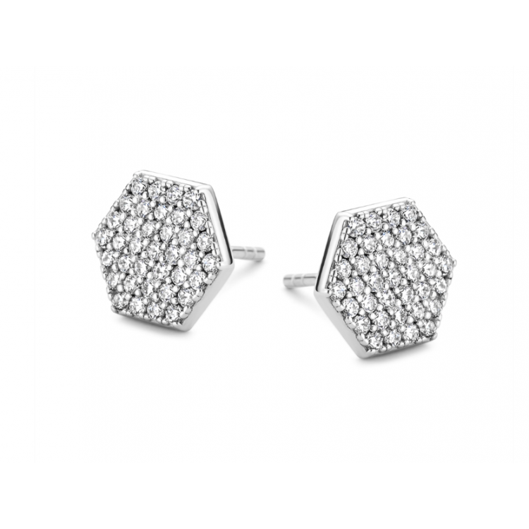 Boucles d'oreilles Silver Rose