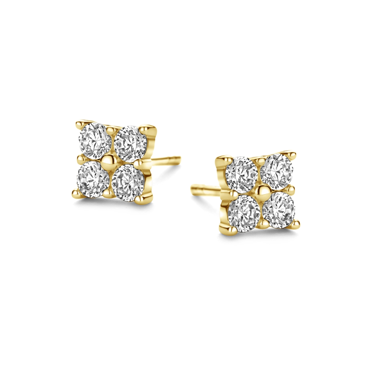Boucles d'oreilles Silver Rose