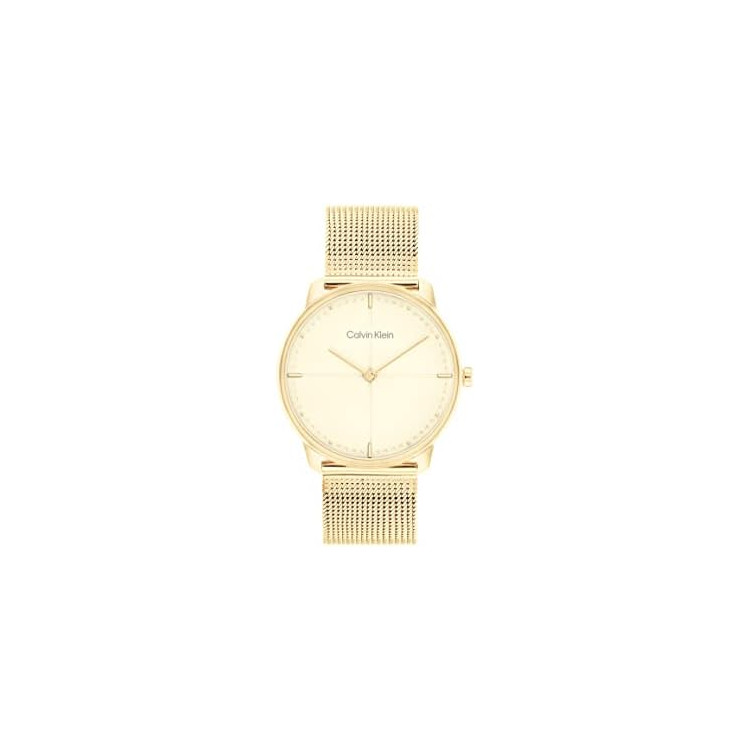 copy of Montre Calvin Klein