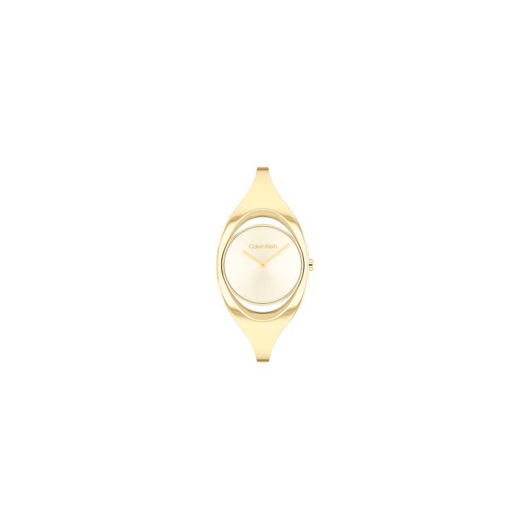 copy of Montre Calvin Klein