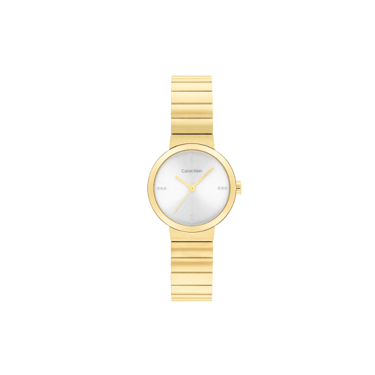 copy of Montre Calvin Klein