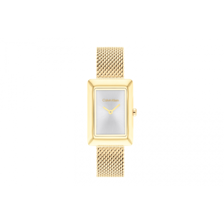 Montre Calvin Klein