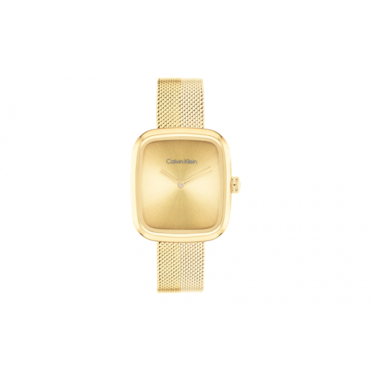 copy of Montre Calvin Klein