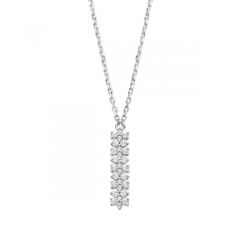 copy of Collier Naiomy