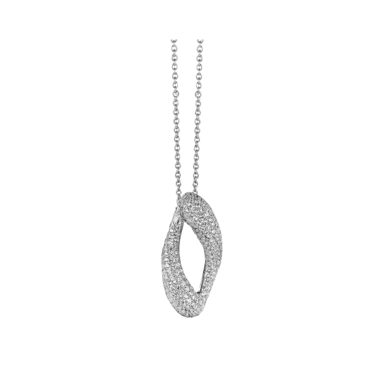 copy of Collier Naiomy