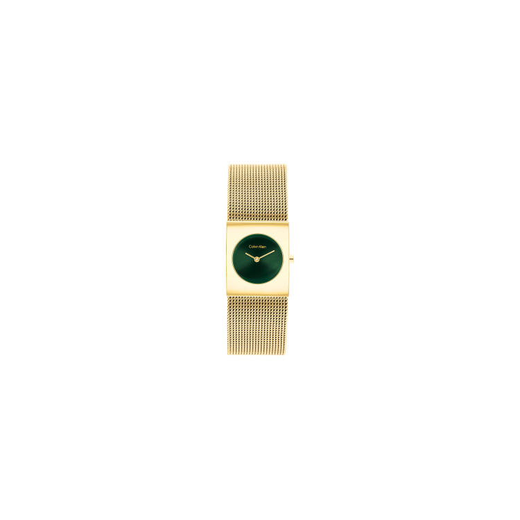 Montre Calvin Klein
