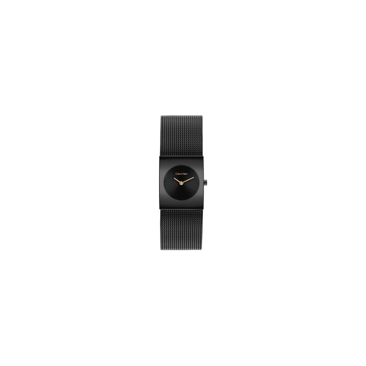 copy of Montre Calvin Klein