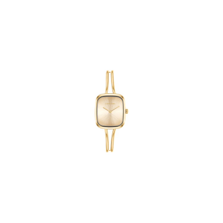 copy of Montre Calvin Klein