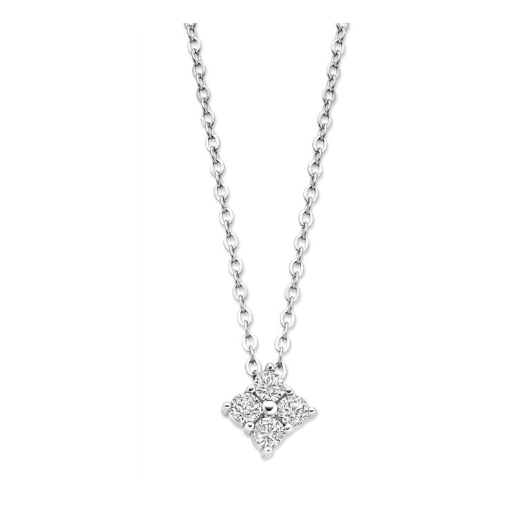 copy of Collier Naiomy