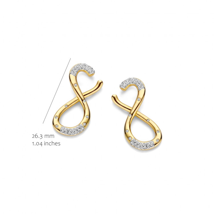 Boucles d'oreilles Silver Rose