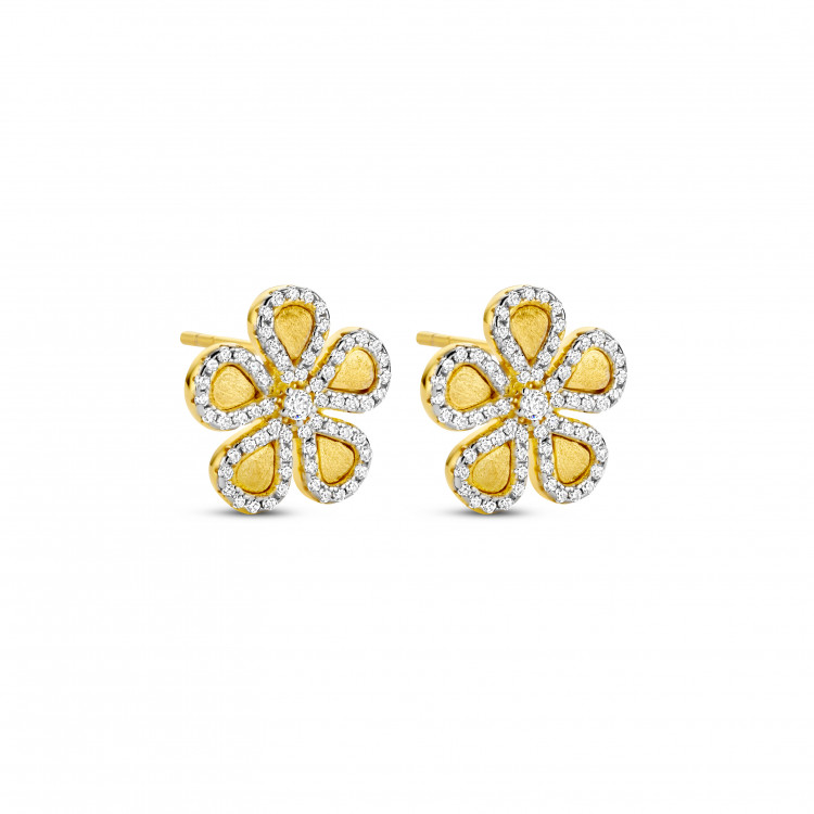 Boucles d'oreilles Silver Rose