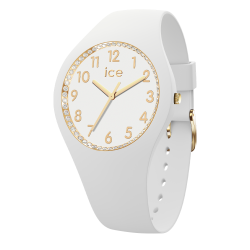 copy of Montre Ice Watch Glam Brushed